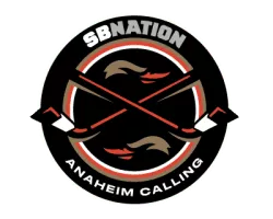 Anaheim Ducks - Ice hockey team