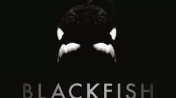 Blackfish - 2013 ‧ Documentary ‧ 1h 30m