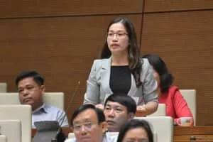 Dang Thi Phuong Thao (Đặng Thị Phương Thảo) - Politician