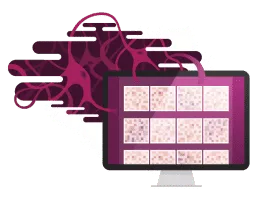 Fight the New Drug - Nonprofit organization