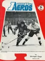 Michigan Stags - Ice hockey team