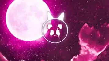 Panda Eyes - Swiss composer