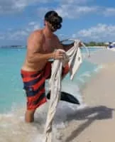 Ray Siegle - Stunt performer