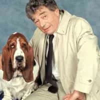 Serge Sauvion - French actor