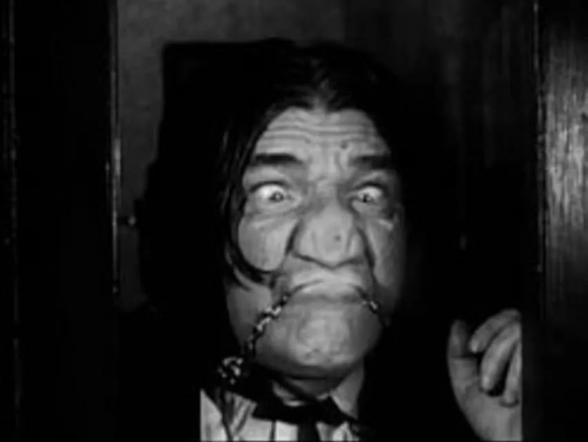 Shemp Howard - American comedian