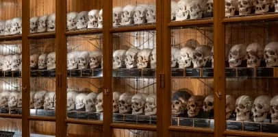 The Mütter Museum at The College of Physicians of Philadelphia - 