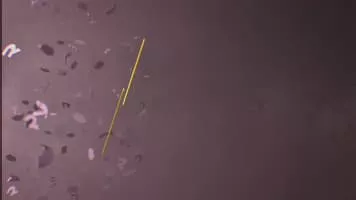 5Select - Television channel