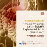 Aidin Salih - Author