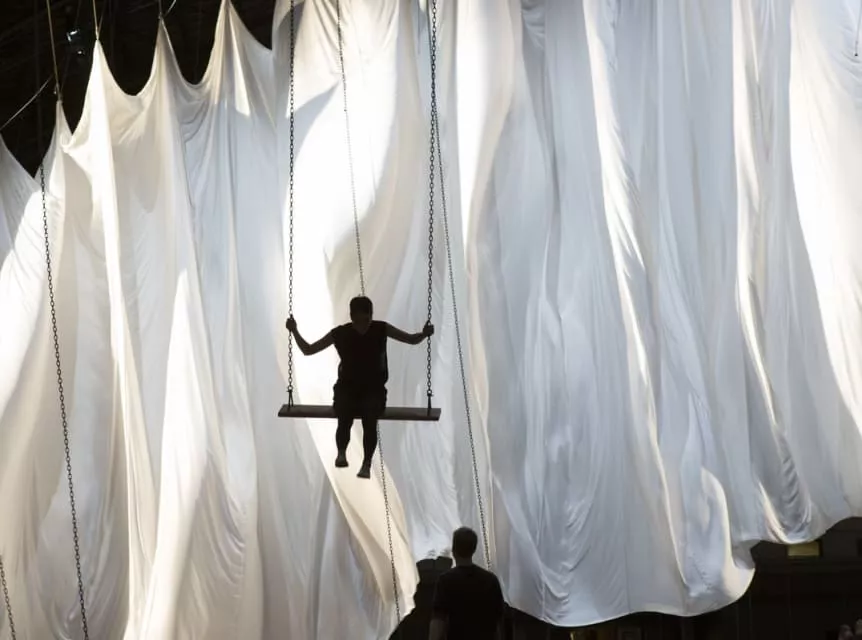 Ann Hamilton - Visual artist