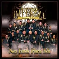 Banda Imperial De Huajuapan De León (Banda Imperial Huajuapan de León) - Musical artist