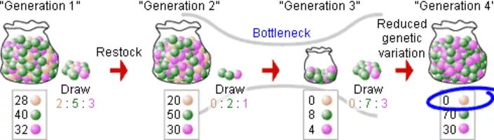 upchurch - American rapper