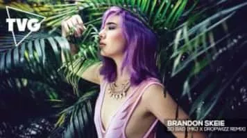 Brandon Skeie - Singer