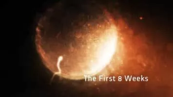 Countdown to Life: The Extraordinary Making of You - TV program