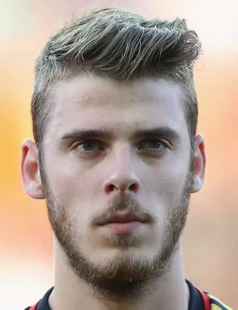 David de Gea - Football goalkeeper