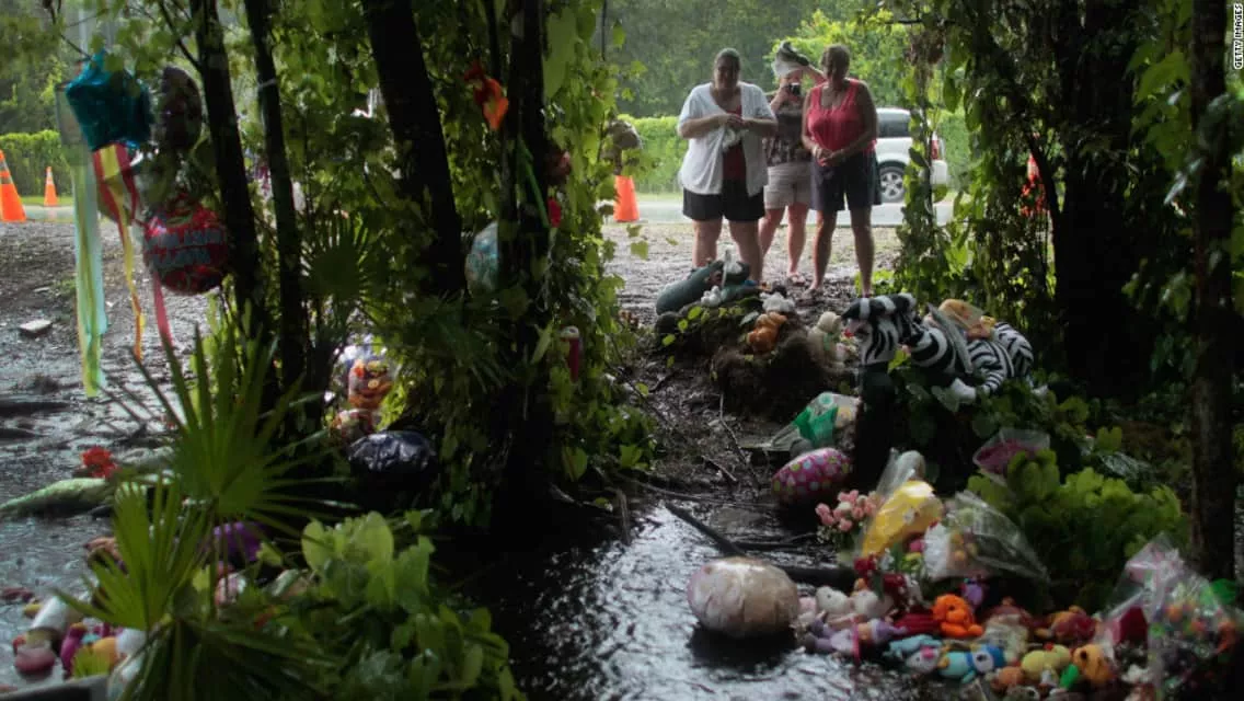 Death of Caylee Anthony - Jul 15, 2008 – Dec 19, 2008