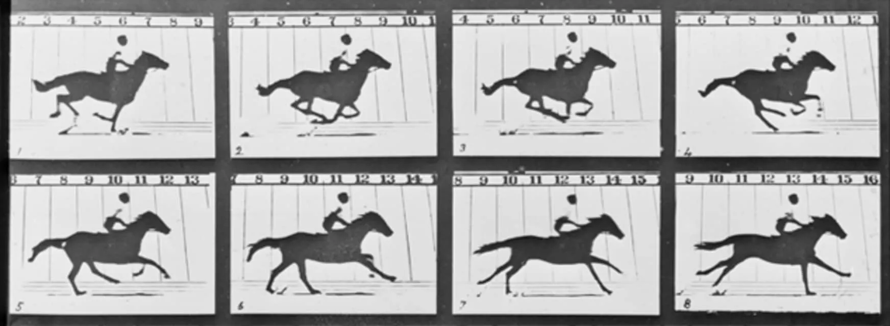 Eadweard Muybridge - Photographer