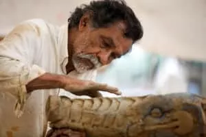 Francisco Toledo - Mexican painter