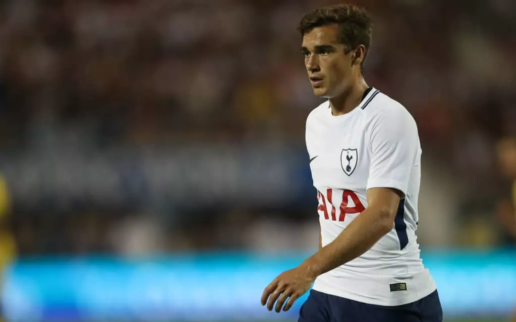 Harry Winks - English soccer player