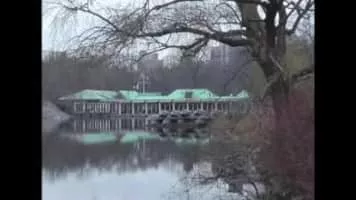 Kane Strang - New Zealand musician