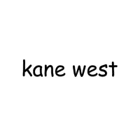 kane west - Musical artist