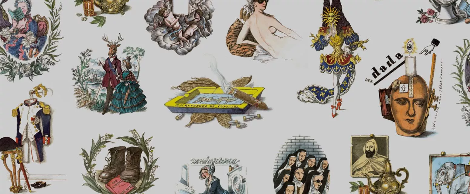 Lawrence Mynott - Illustrator