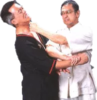 Leung Ting - Martial artist