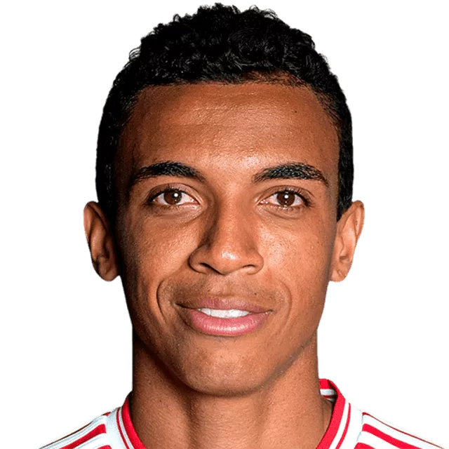 Luiz Gustavo - Brazilian football player