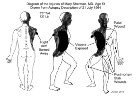 Mary S. Sherman - Surgeon