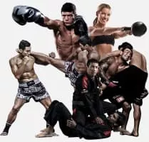 Mixed martial arts - Sport