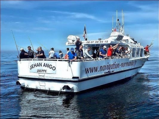 navigation normandy - dieppe, promenade and sea fishing parc floral william farcy - 