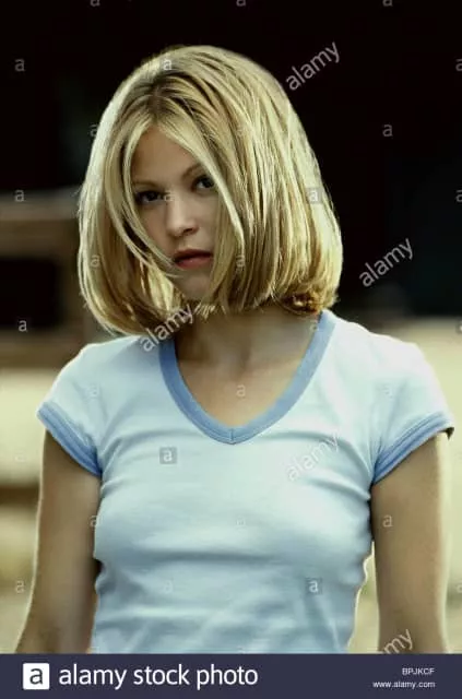 Nicki Aycox - American actress