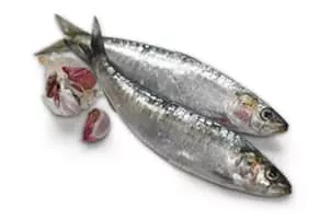 Oily fish - 