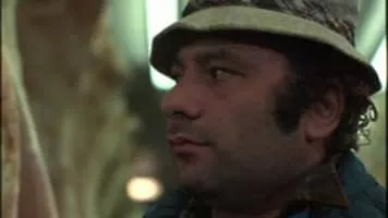 Paulie Pennino - Fictional character