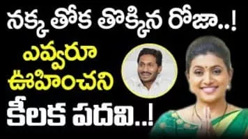 Roja Örme San. Tic. A. Ş. - 