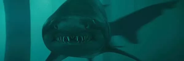 Shark Night - 2011 ‧ Thriller/Teen ‧ 1h 35m
