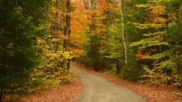 Taro Iwashiro - Japanese composer