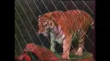 Volodymyr Shevchenko - Soviet film director