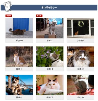 Wildlife Photographer Mitsuaki Iwago's World Cats Travelogue Television show - 2012 ‧ Documentary ‧ 7 seasons