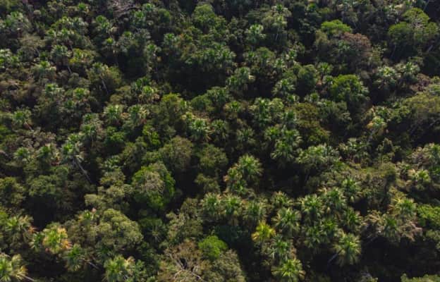 zona reservada yaguas área de conservación regional alto nanay-pintuyacu-chambira - 