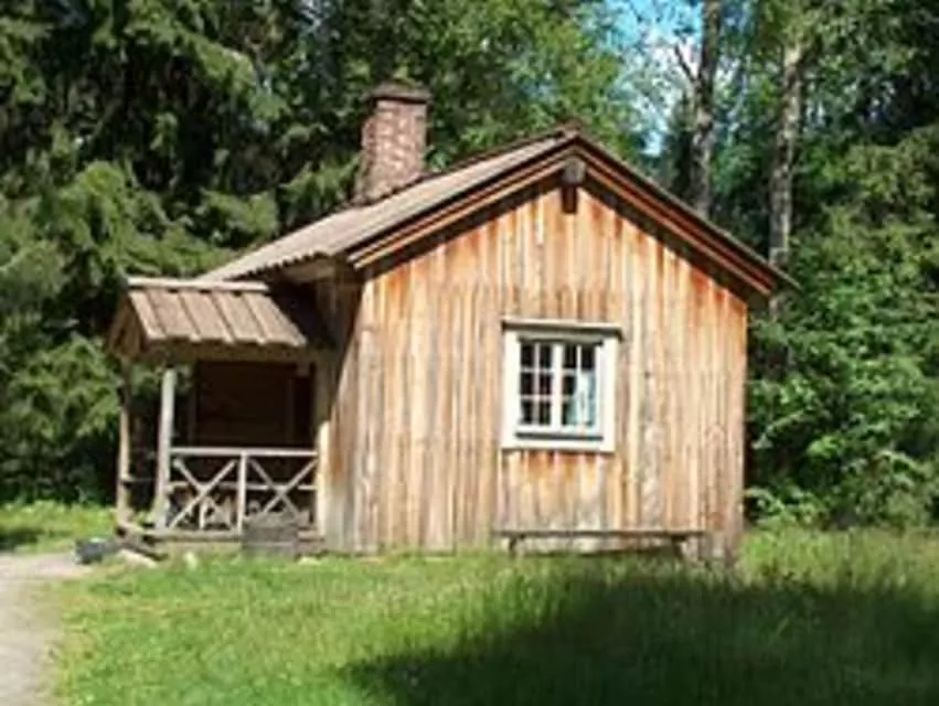 Aleksis Kivi - Finnish author