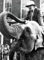 Alvin Boyarsky - Author