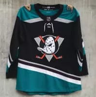 Anaheim Ducks - Ice hockey team