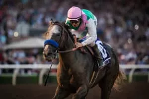 Arrogate - Horse