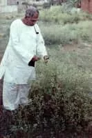 B. G. L. Swamy - Indian botanist