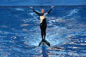 Blackfish - 2013 ‧ Documentary ‧ 1h 30m