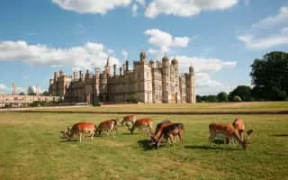 Capability Brown - English gardener