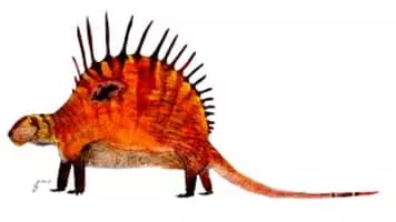 Dimetrodon - Animal