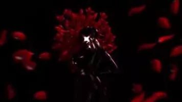 Dony - Romanian singer