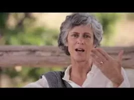 Elisabetta Gnone - Italian writer