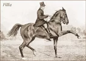 Gustav Steinbrecht - German biographer